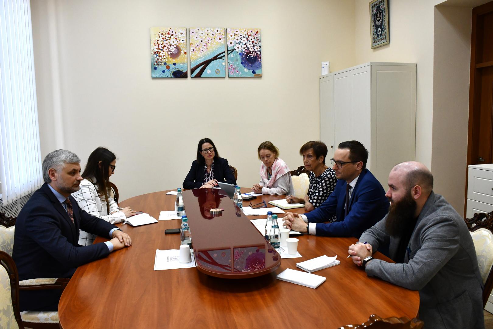 Meeting with the delegation of the Federal Ministry of Justice of the Federal Republic of Germany