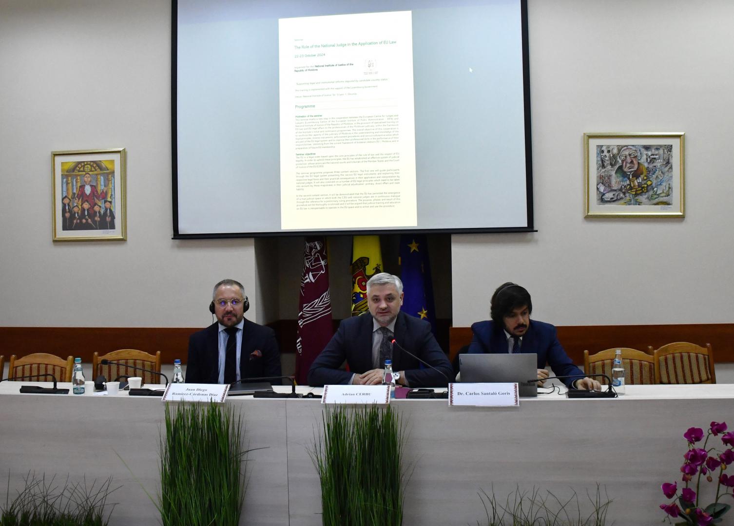 Consolidarea competențelor judecătorilor naționali în aplicarea dreptului UE