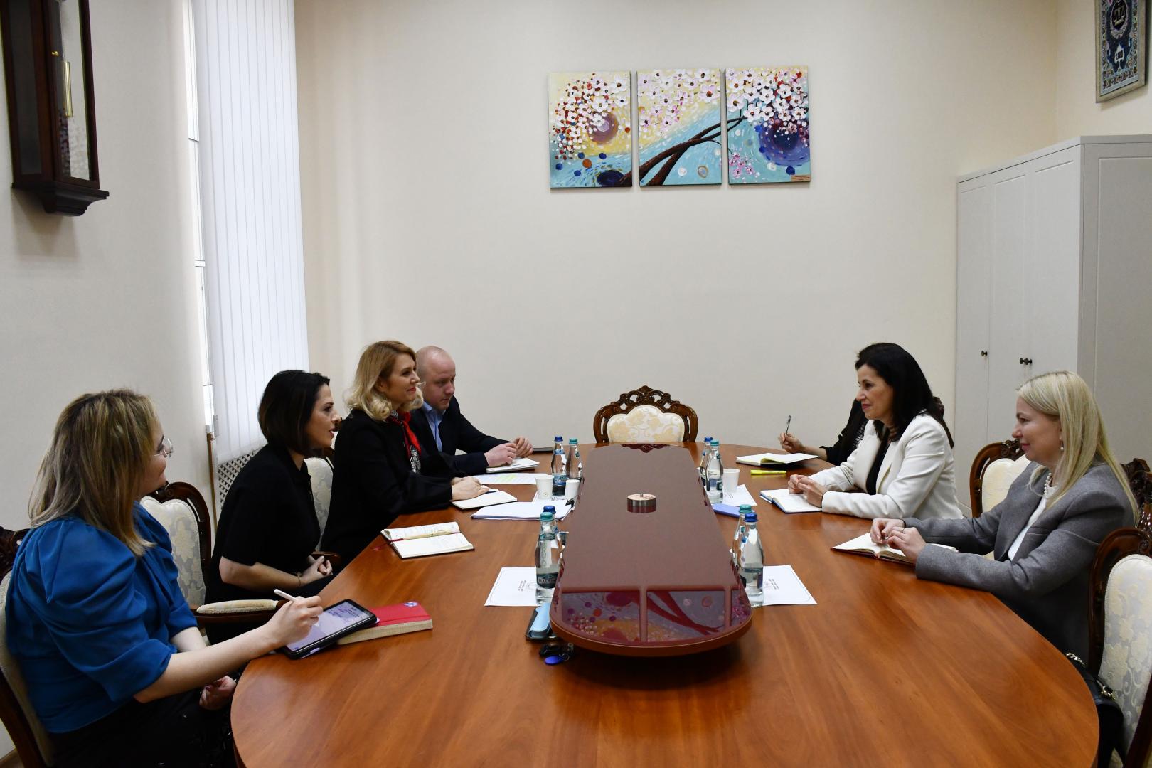 Bilateral meeting between the Director of the National Institute of Justice and the Country Representative of UN Women Moldova